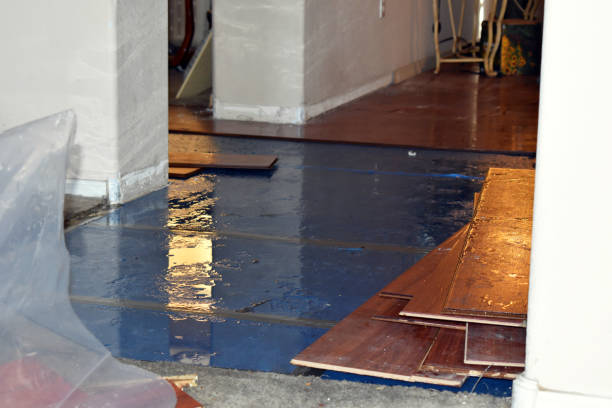 Professional Sewage Cleanup technician working in Athens, IL
